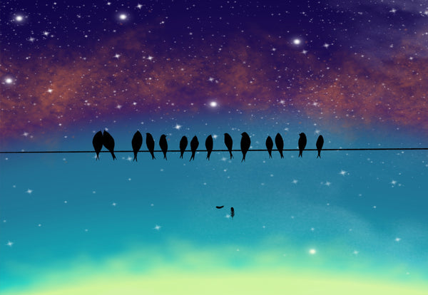 birds on a wire print 7 colours