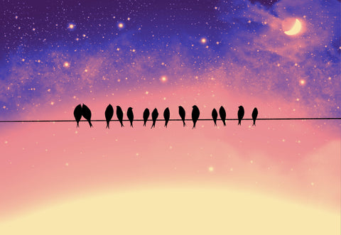 birds on a wire print 7 colours