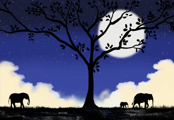 elephant wall art print