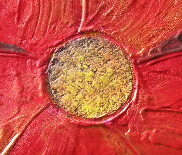 big red poppies close up