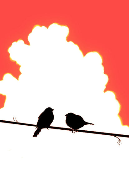 birds on a wire print red sky edition